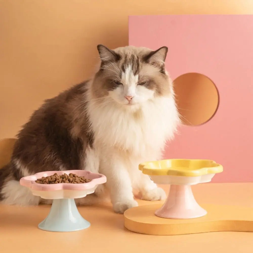 Anti-Tip Ceramic Cat Bowl – Elevated Pet Feeder for Eating & Drinking