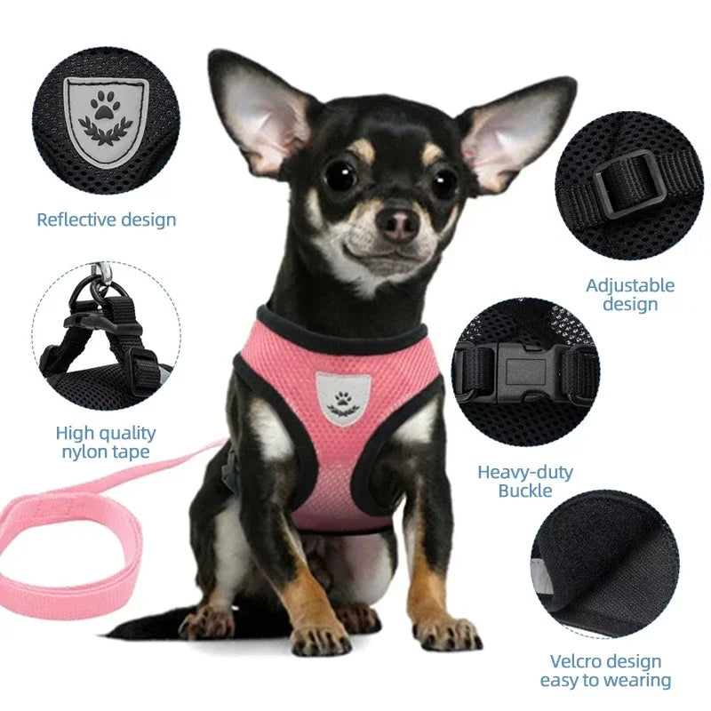 Adjustable Mesh Cat Harness Vest – Breathable Walking Leash for Small & Medium Pets