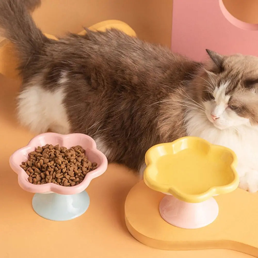 Anti-Tip Ceramic Cat Bowl – Elevated Pet Feeder for Eating & Drinking
