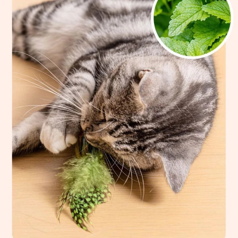 Interactive Cat Bird Toy | Catnip Plush Teaser with Realistic Sound