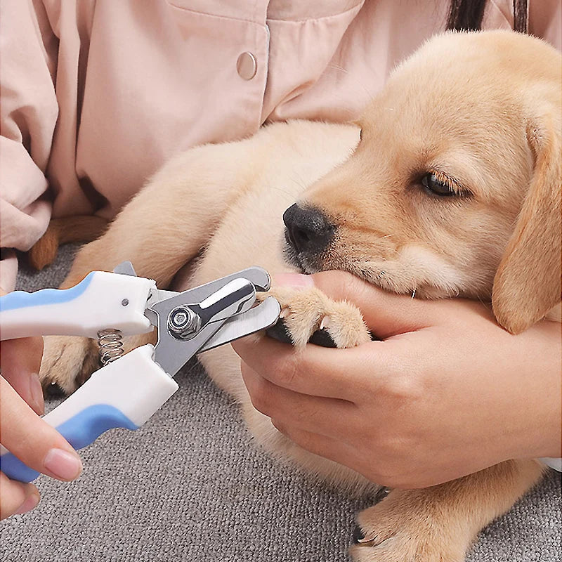 Pet Nail Clippers for Dogs & Cats – Professional Stainless Steel Grooming Tool with Safety Guard