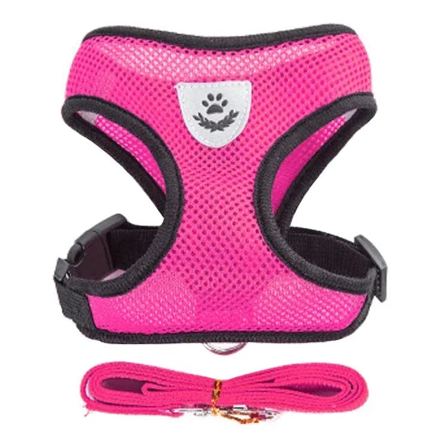 Adjustable Mesh Cat Harness Vest – Breathable Walking Leash for Small & Medium Pets