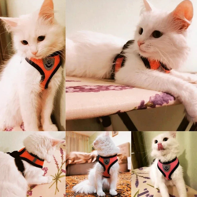 Adjustable Mesh Cat Harness Vest – Breathable Walking Leash for Small & Medium Pets