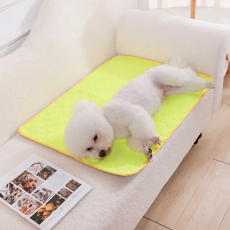 Washable Dog Urine Pad – Reusable Anti-Slip Puppy Training & Pet Bed Mat
