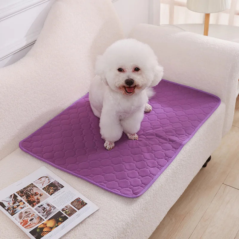 Washable Dog Urine Pad – Reusable Anti-Slip Puppy Training & Pet Bed Mat