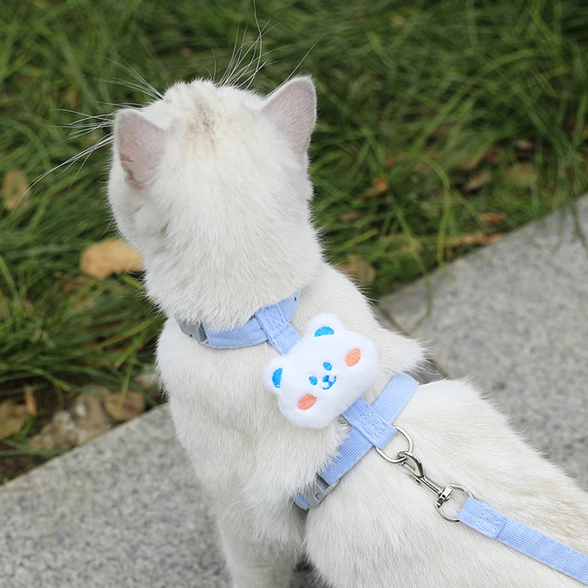Adjustable Cat Harness & Leash Set – Breathable Chest Strap for Small Cats