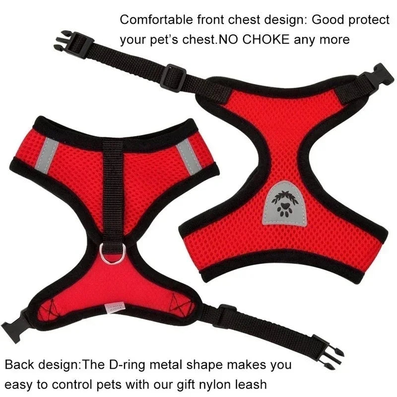 Adjustable Mesh Cat Harness Vest – Breathable Walking Leash for Small & Medium Pets