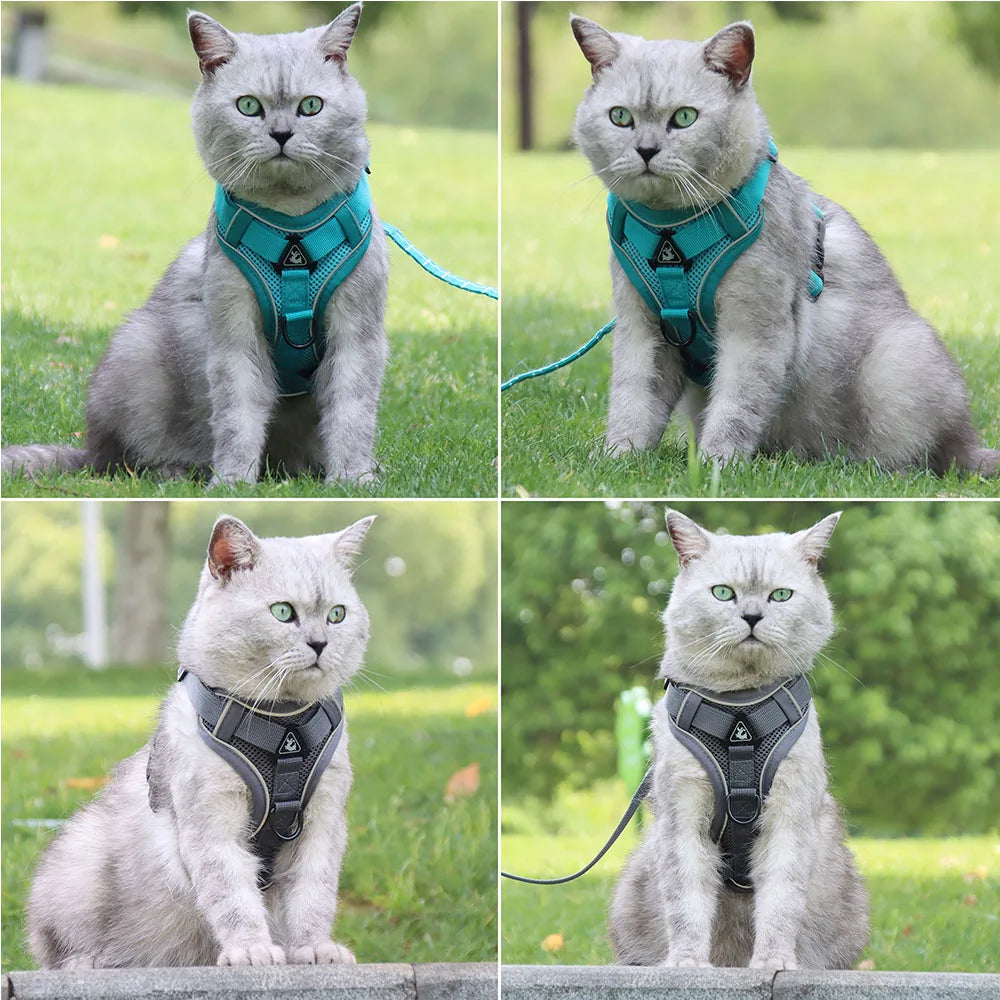 Small Dog Harness & Leash Set – Adjustable Vest for French Bulldogs, Pugs & Puppies