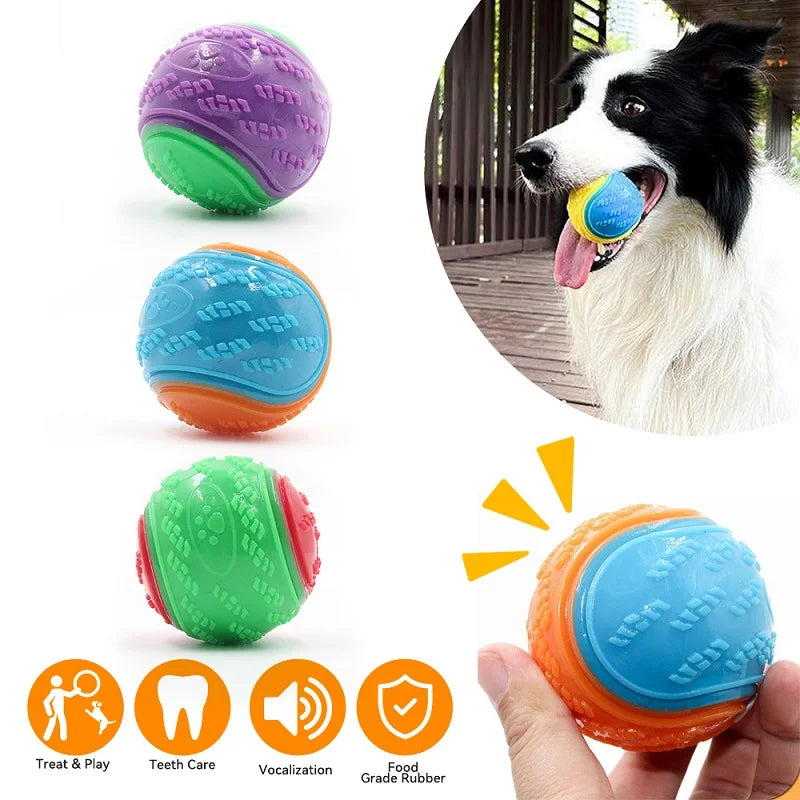 Interactive Squeaky Dog Ball | TPR Chew Toy for Teeth Cleaning & Bite Resistance