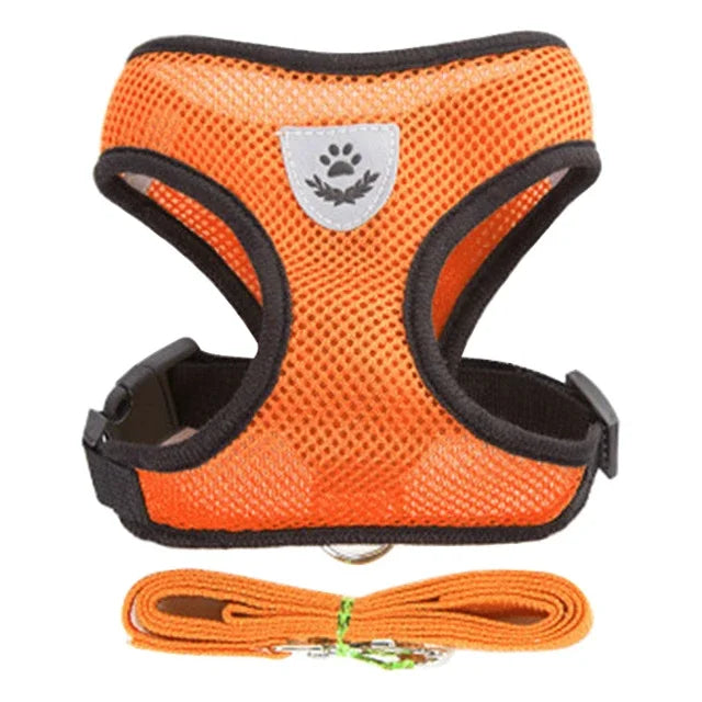 Adjustable Mesh Cat Harness Vest – Breathable Walking Leash for Small & Medium Pets