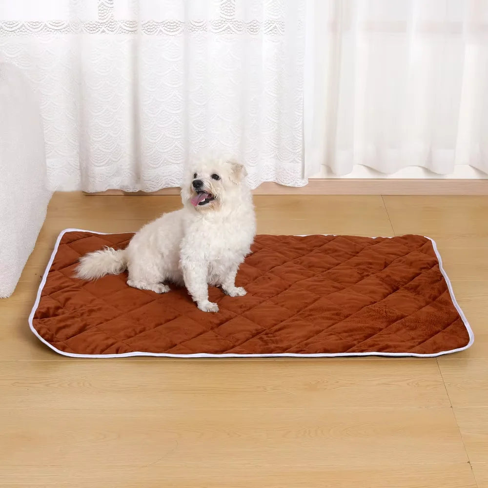 Self-Warming Pet Blanket with Built-In Pee Pad | Reusable Thermal Mat for Dogs & Cats