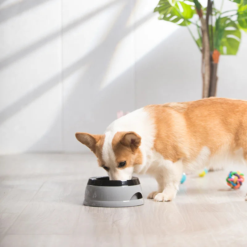 Portable Pet Dog & Cat Water Bowl – No Spill, Floating Design, Travel Feeder, 750ML