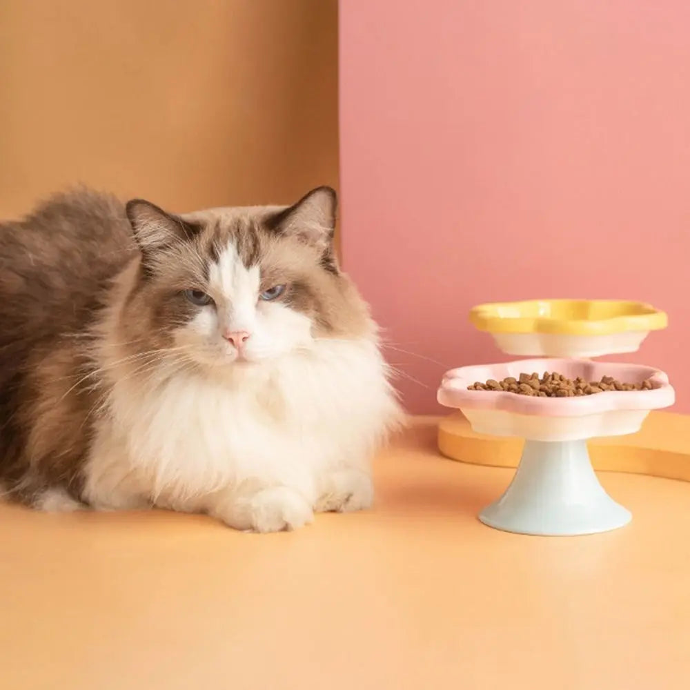 Anti-Tip Ceramic Cat Bowl – Elevated Pet Feeder for Eating & Drinking