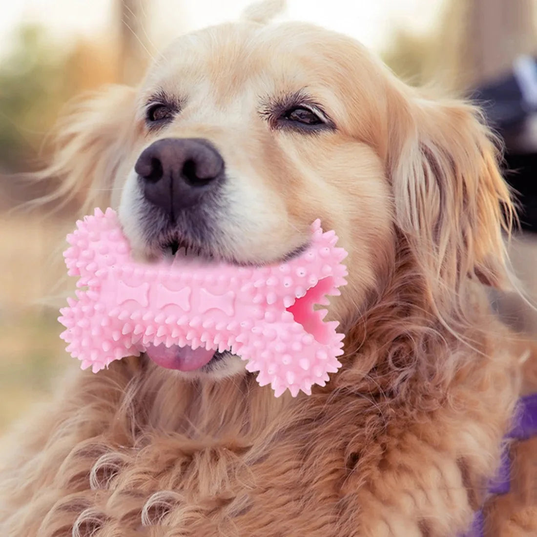 Indestructible Dog Chew Toy | Teeth-Cleaning Bone for Small Dogs