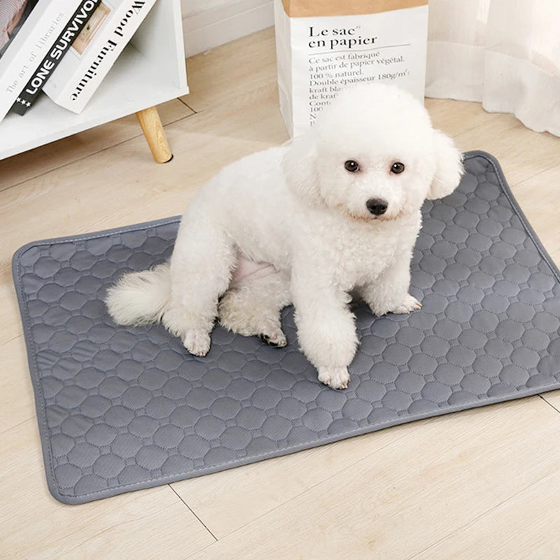 Washable Dog Urine Pad – Reusable Anti-Slip Puppy Training & Pet Bed Mat