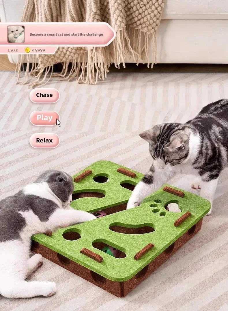 Cat Puzzle Toy Box | Interactive Indoor Ball & Exercise Toy for Cats