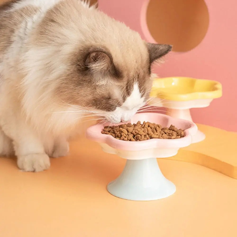 Anti-Tip Ceramic Cat Bowl – Elevated Pet Feeder for Eating & Drinking