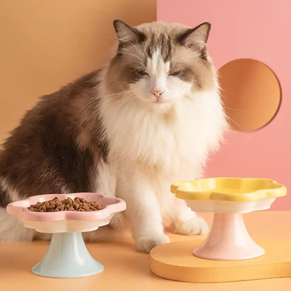 Anti-Tip Ceramic Cat Bowl – Elevated Pet Feeder for Eating & Drinking