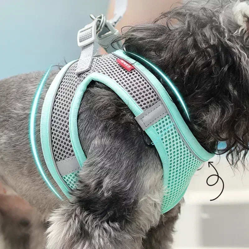 Small Dog Harness & Leash Set – Adjustable Reflective Vest for Chihuahuas & Pugs