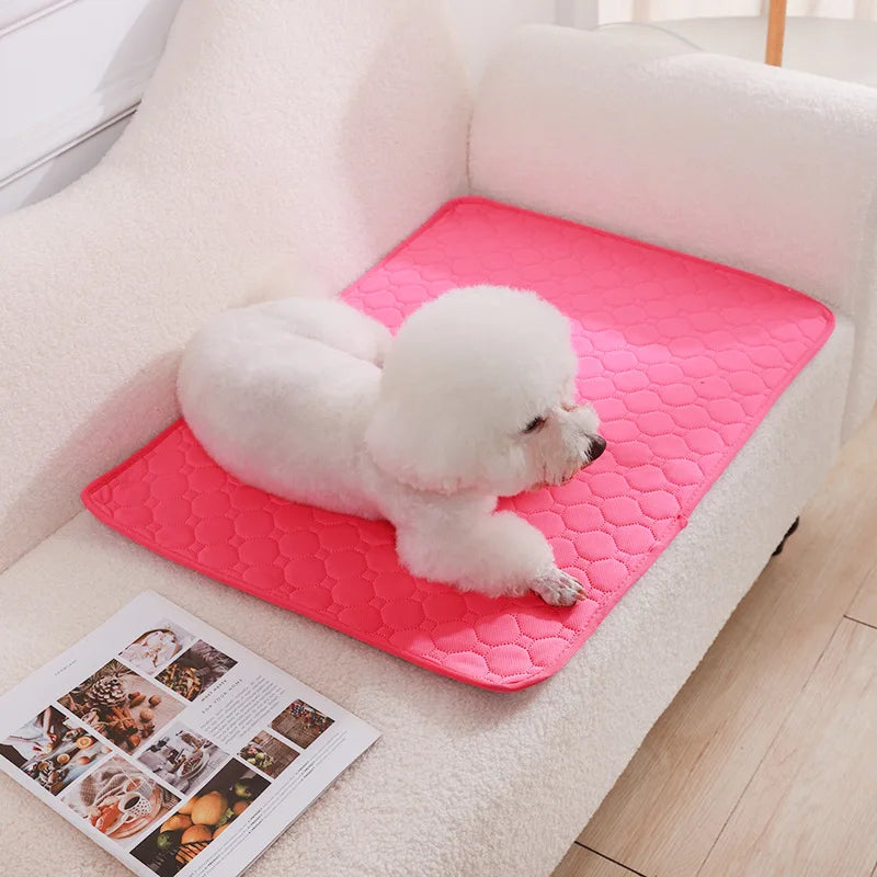 Washable Dog Urine Pad – Reusable Anti-Slip Puppy Training & Pet Bed Mat