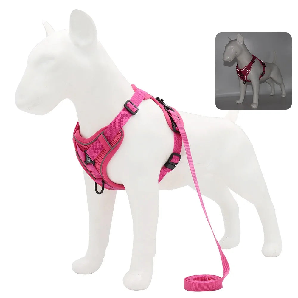 Small Dog Harness & Leash Set – Adjustable Vest for French Bulldogs, Pugs & Puppies