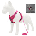Small Dog Harness & Leash Set – Adjustable Vest for French Bulldogs, Pugs & Puppies
