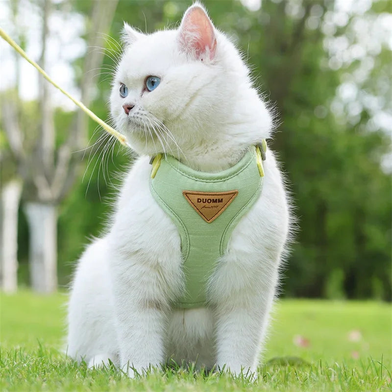 Breathable Cat & Puppy Harness and Leash Set – Durable Outdoor Pet Vest for Small Dogs & Cats