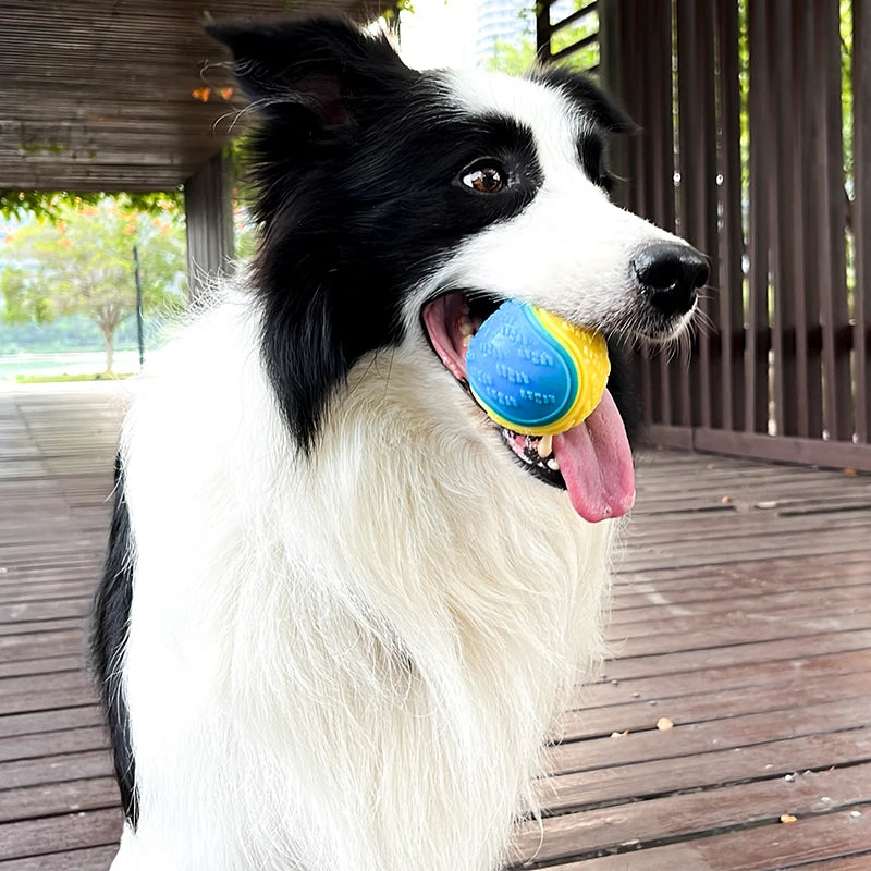 Interactive Squeaky Dog Ball | TPR Chew Toy for Teeth Cleaning & Bite Resistance