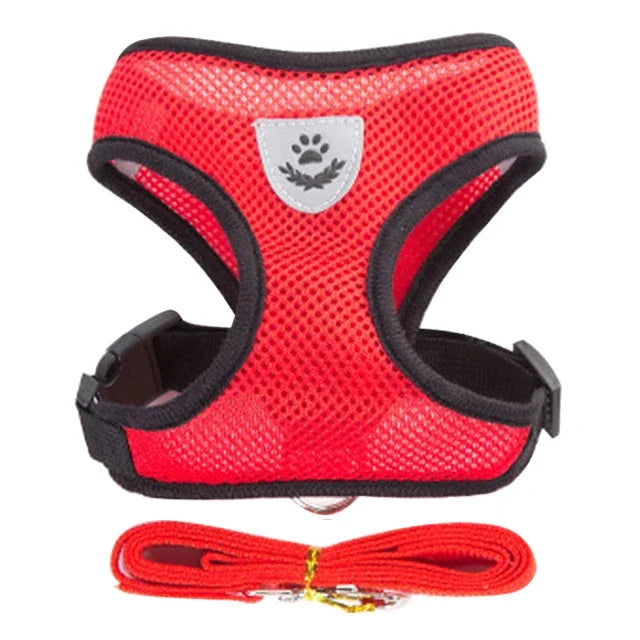 Adjustable Mesh Cat Harness Vest – Breathable Walking Leash for Small & Medium Pets