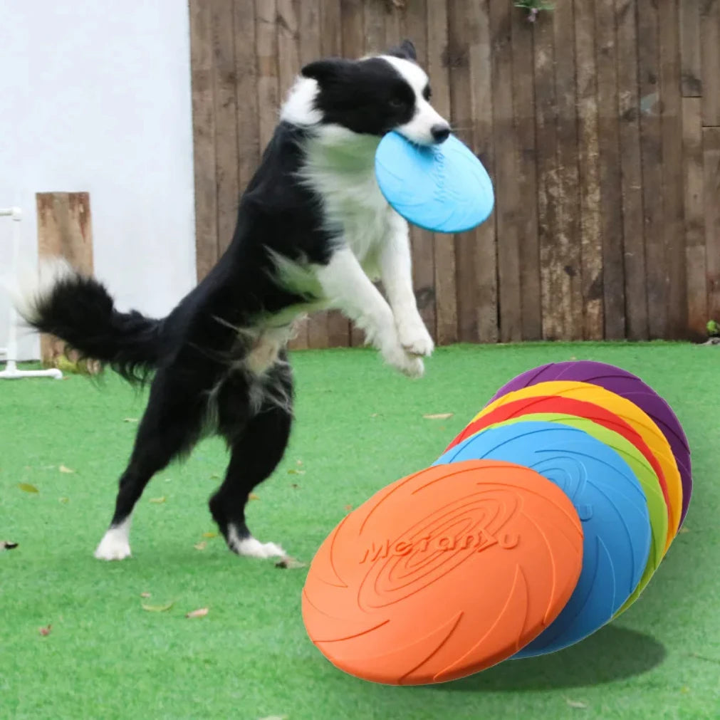 Durable Bite-Resistant Dog Flying Disc – Interactive Outdoor Pet Toy