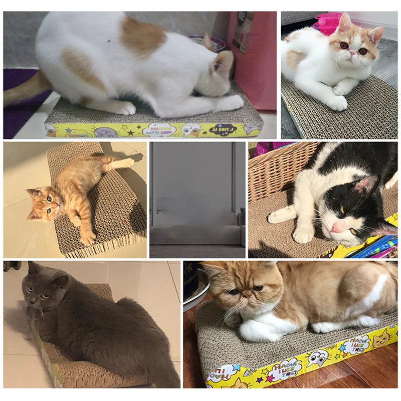 Cat Scratcher Board – Corrugated Cardboard Claw Sharpening & Scratch-Resistant Toy