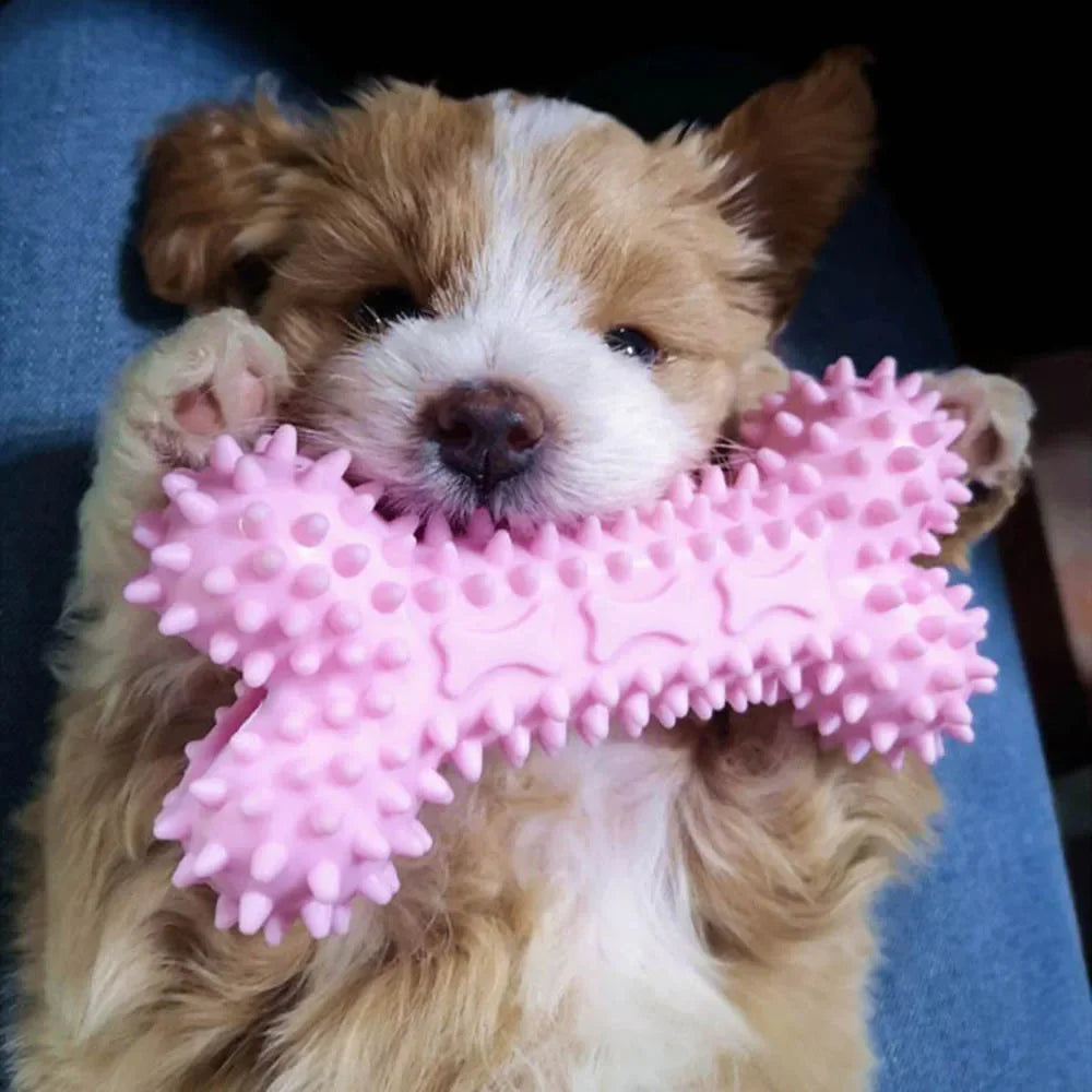 Indestructible Dog Chew Toy | Teeth-Cleaning Bone for Small Dogs