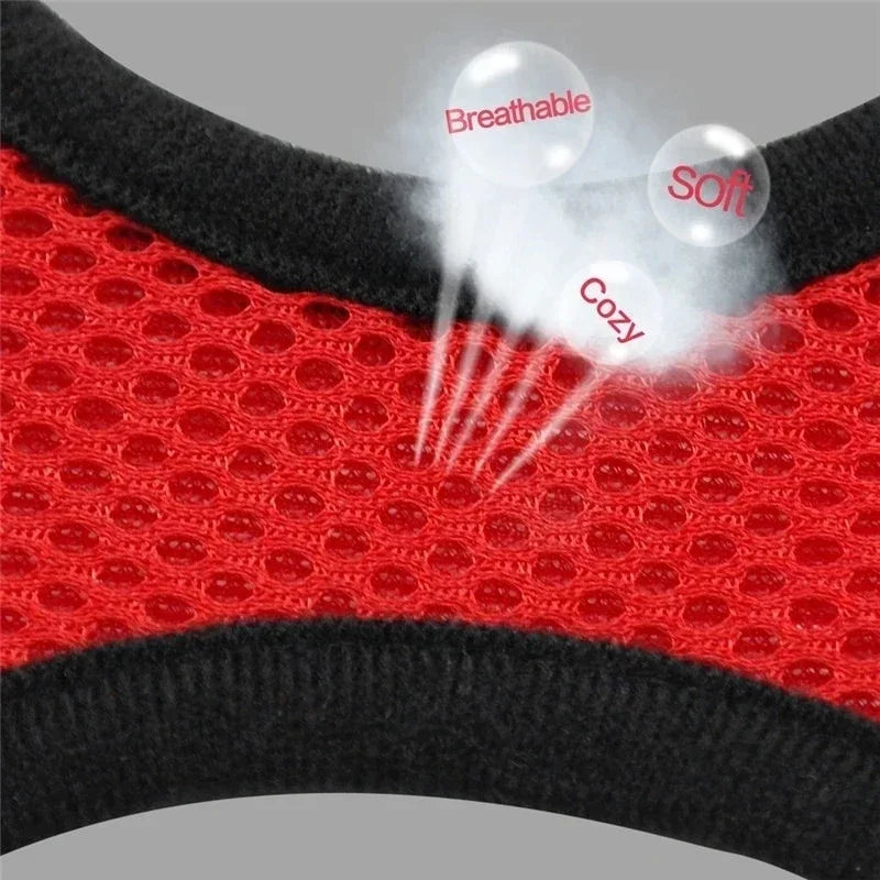 Adjustable Mesh Cat Harness Vest – Breathable Walking Leash for Small & Medium Pets