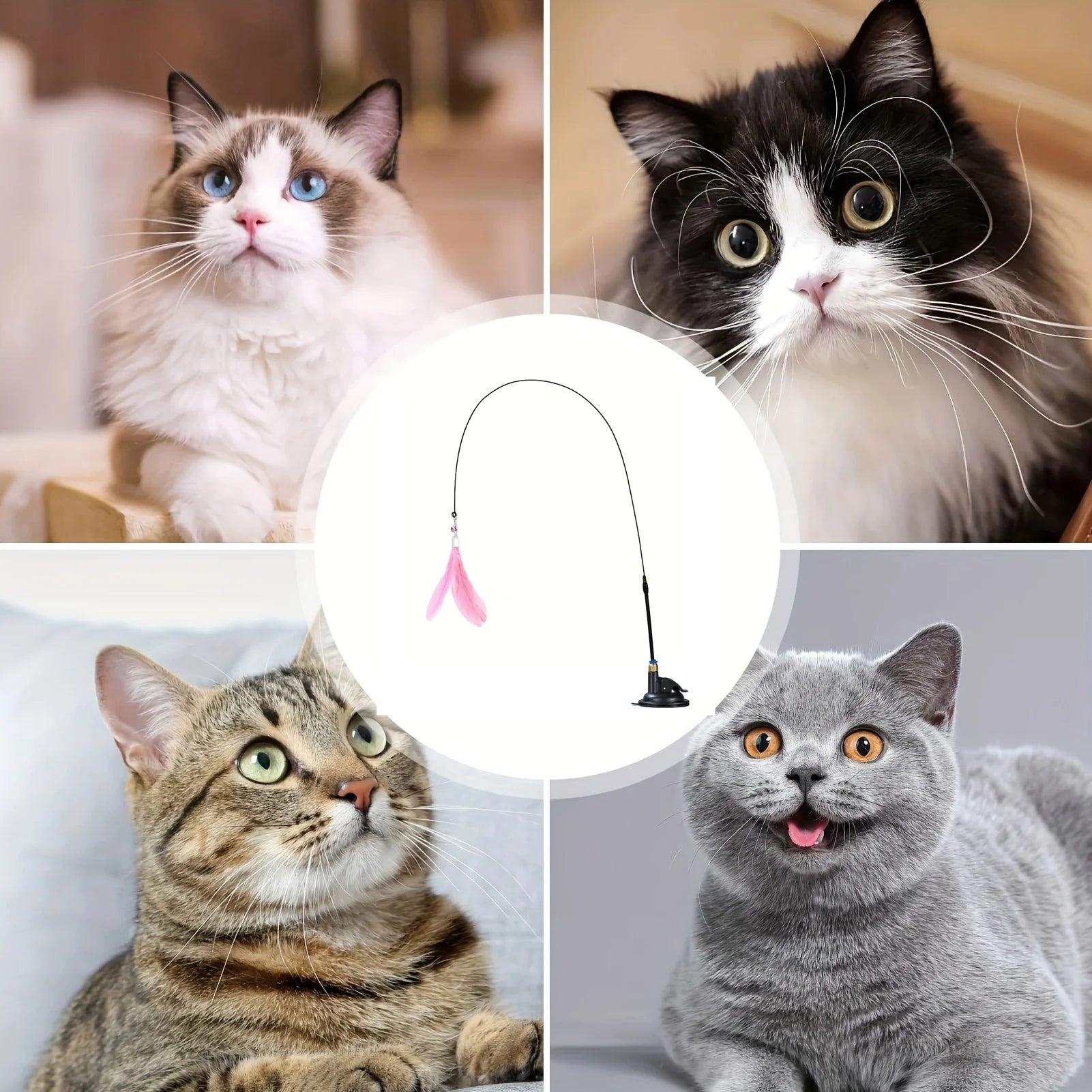 Interactive Cat Teaser Wand | Feather & Bell Toy with Suction Cup Pole