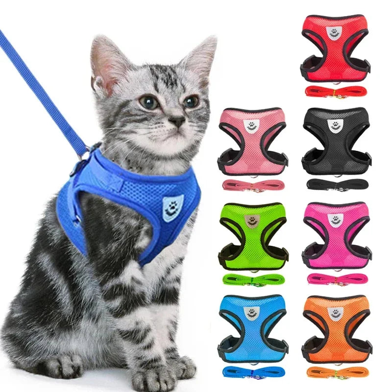 Adjustable Mesh Cat Harness Vest – Breathable Walking Leash for Small & Medium Pets