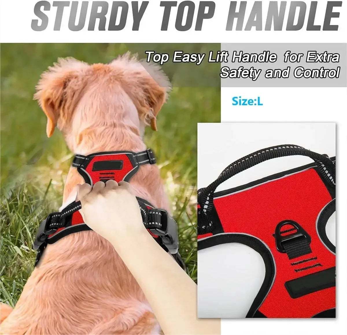 Premium Dog Harness Vest with Leash – Comfortable & Adjustable for Small to Medium Dogs
