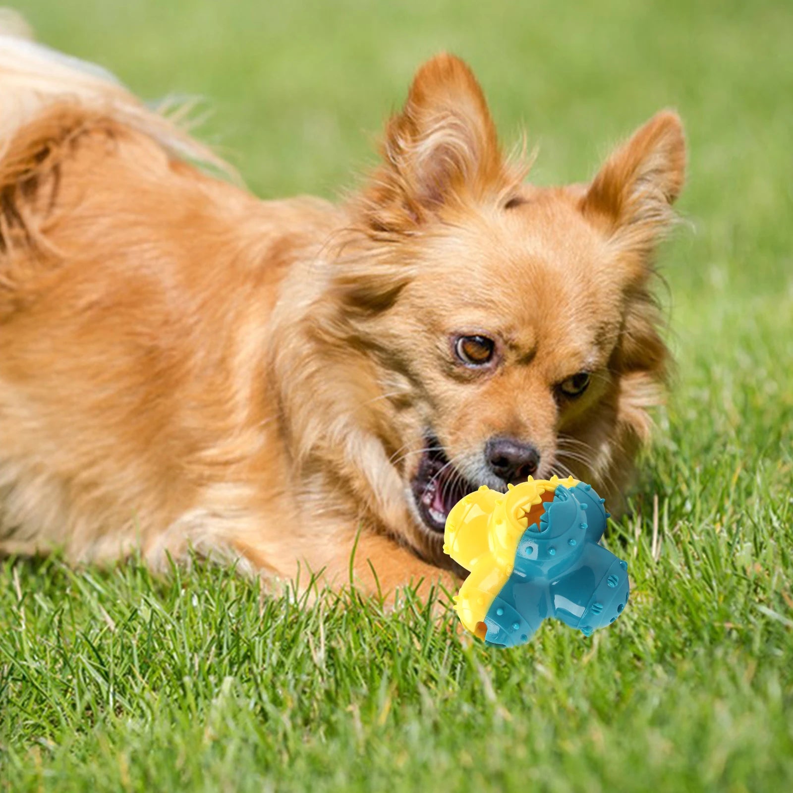 Interactive Dog Chew Toy Ball | Teeth-Cleaning, Sound & Treat Dispenser for Dogs