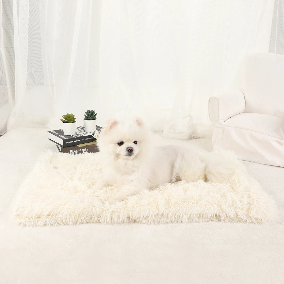 Plush Dog & Cat Blanket | Soft, Warm, Washable Pet Bed Mat