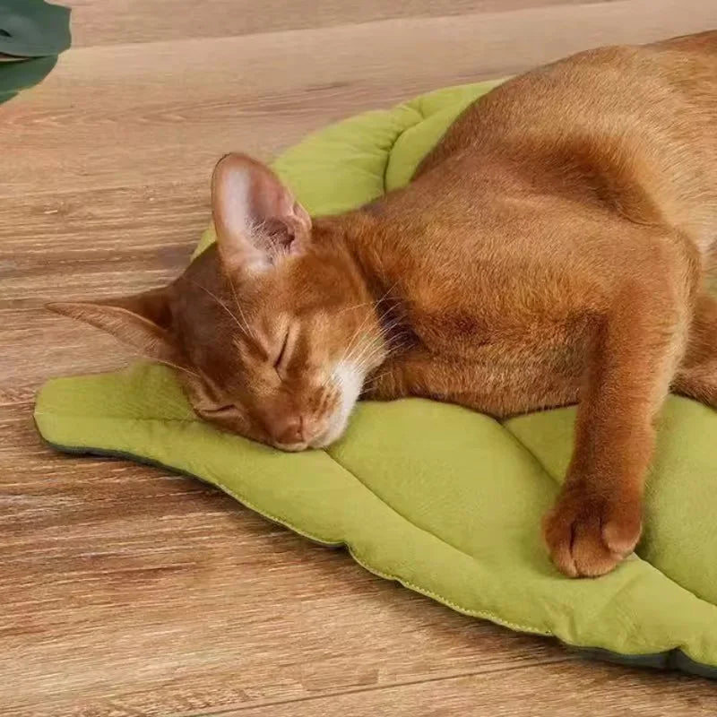 Leaf-Shaped Cat Bed Mat – Soft Cotton Pet Sleeping Blanket for Cats & Small Dogs