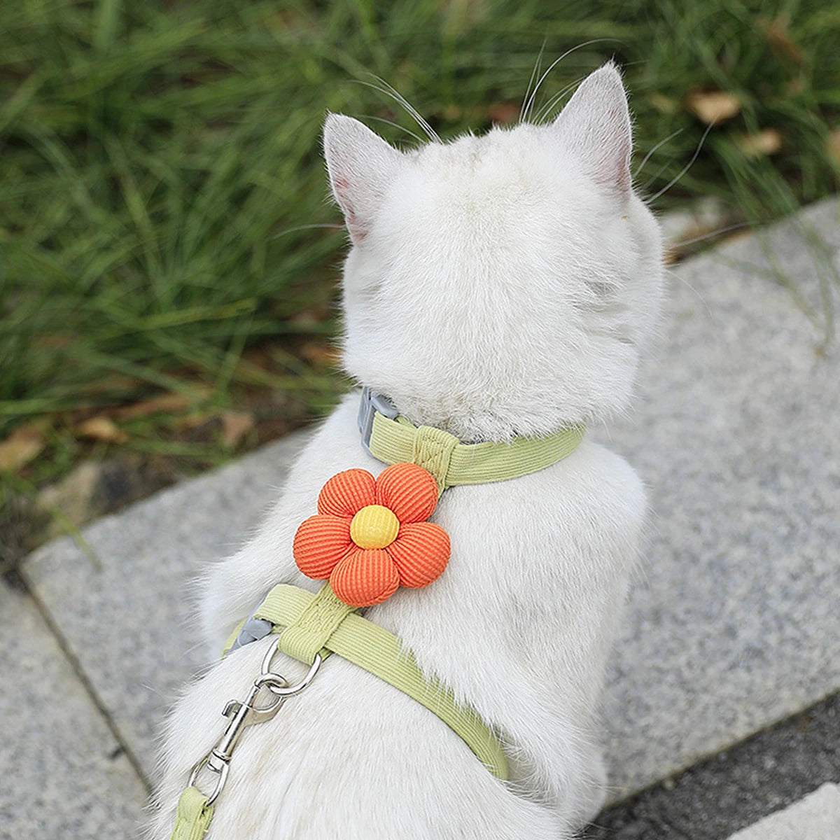 Adjustable Cat Harness & Leash Set – Breathable Pet Walking Strap for Small Cats & Dogs