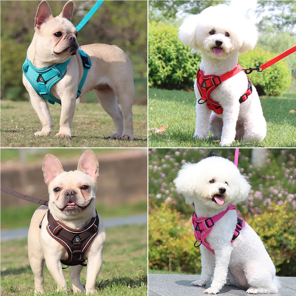 Small Dog Harness & Leash Set – Adjustable Vest for French Bulldogs, Pugs & Puppies