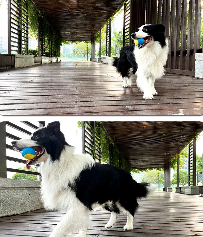 Interactive Squeaky Dog Ball | TPR Chew Toy for Teeth Cleaning & Bite Resistance
