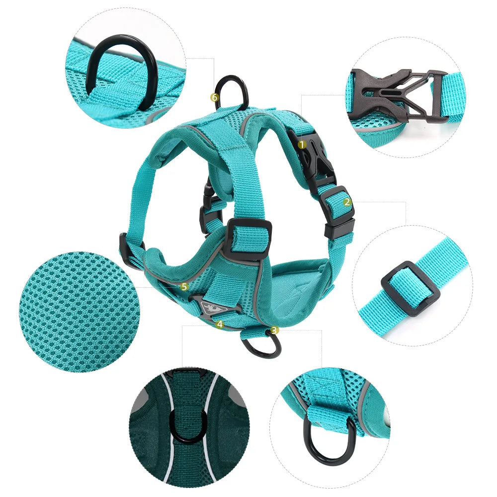 Small Dog Harness & Leash Set – Adjustable Vest for French Bulldogs, Pugs & Puppies