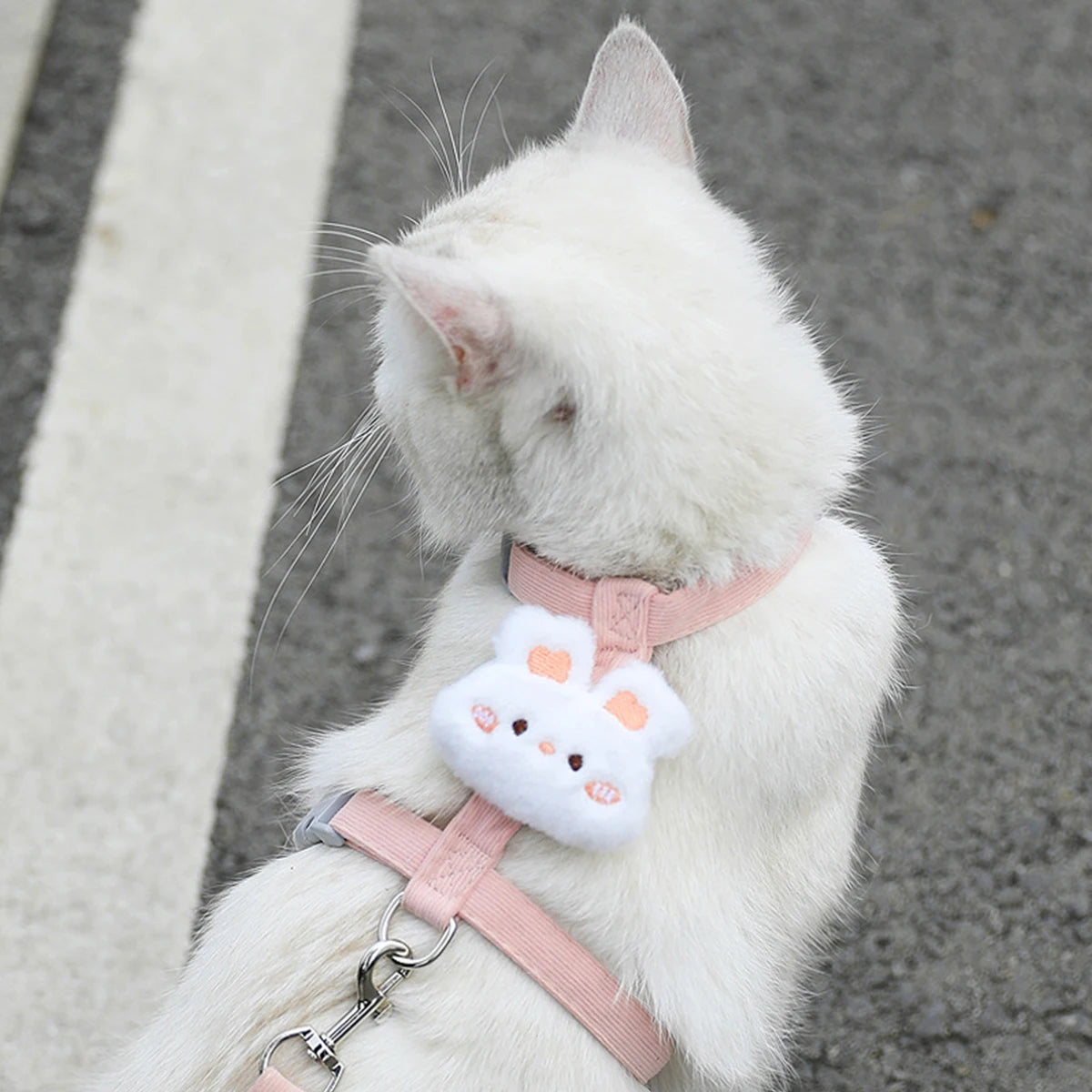 Adjustable Cat Harness & Leash Set – Breathable Pet Walking Strap for Small Cats & Dogs
