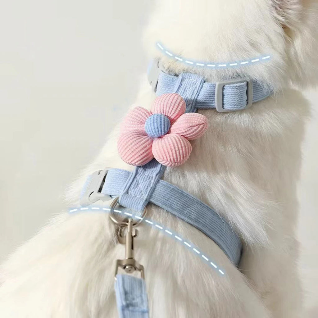 Adjustable Cat Harness & Leash Set – Breathable Chest Strap for Small Cats