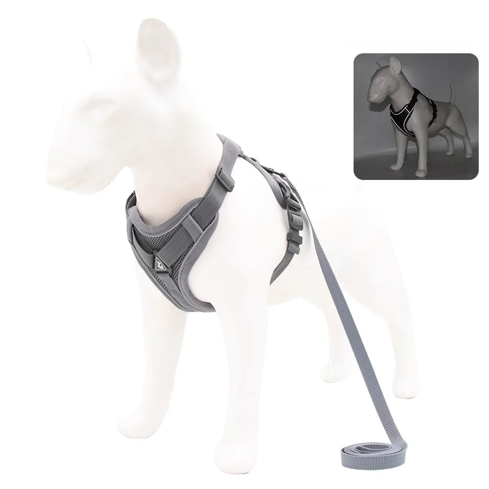 Small Dog Harness & Leash Set – Adjustable Vest for French Bulldogs, Pugs & Puppies