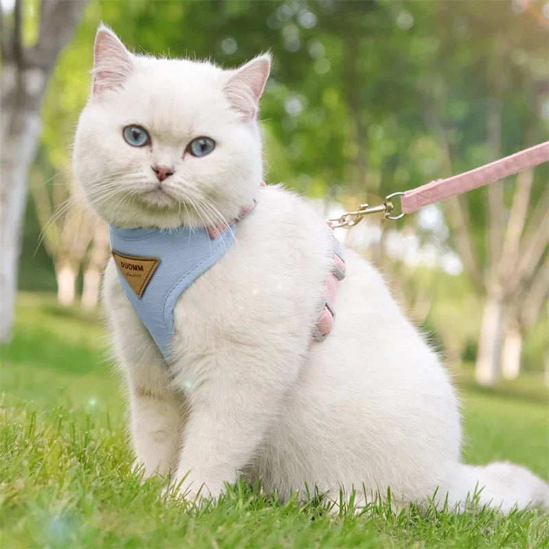 Breathable Cat & Puppy Harness and Leash Set – Durable Outdoor Pet Vest for Small Dogs & Cats