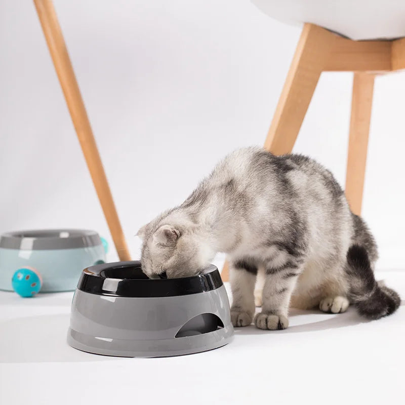 Portable Pet Dog & Cat Water Bowl – No Spill, Floating Design, Travel Feeder, 750ML