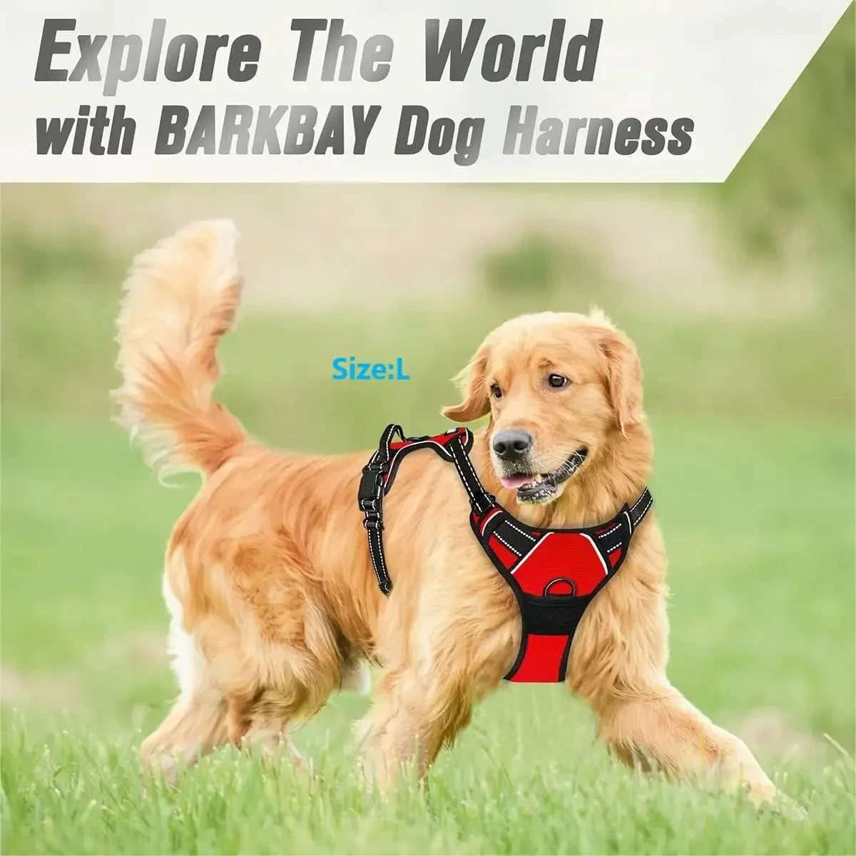 Premium Dog Harness Vest with Leash – Comfortable & Adjustable for Small to Medium Dogs