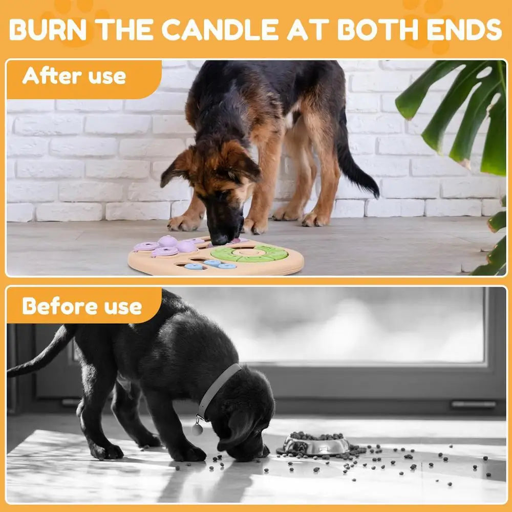 Interactive Dog Treat Puzzle Toy | Brain Game & Food Feeder for Dogs, Puppies & Cats
